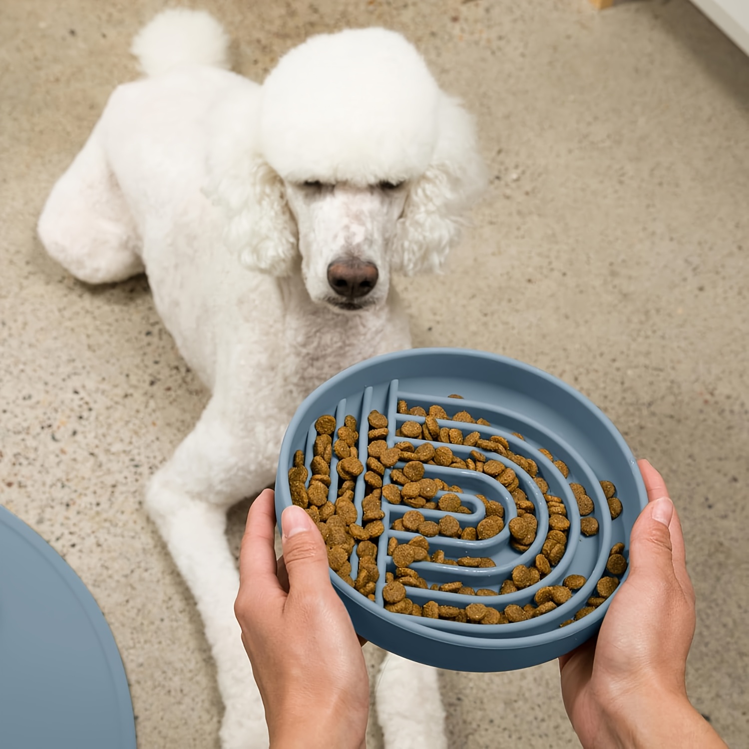 Large Slow Feeder Dog Bowl, Silicone Interactive Pet Feeding Bowl with Non-Slip Base, Anti-Choking Slow Eating Bowl for Dogs & Cats 2 Cups
